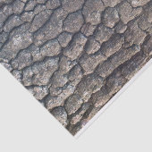 飛行機 薄葉紙 (詳細)