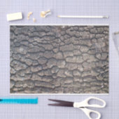 飛行機 薄葉紙 (クラフト)