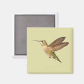 飛行磁石のハミングバード マグネット (正面/裏面)