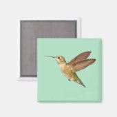 飛行磁石のハミングバード マグネット (正面/裏面)