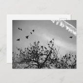 飛行経路 ポストカード (正面/裏面)