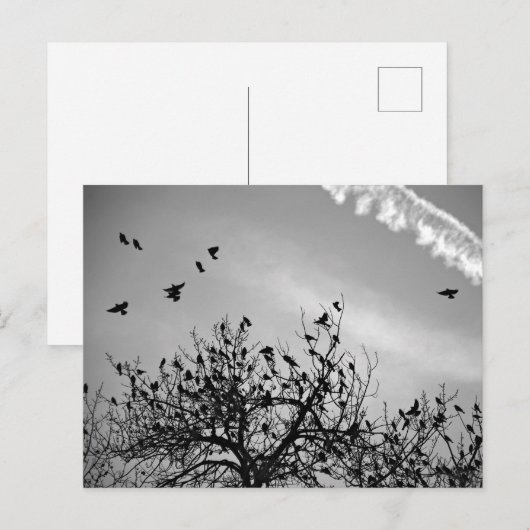 飛行経路 ポストカード (正面/裏面)