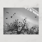 飛行経路 ポストカード (正面)