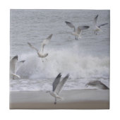 飛行 タイル (正面)