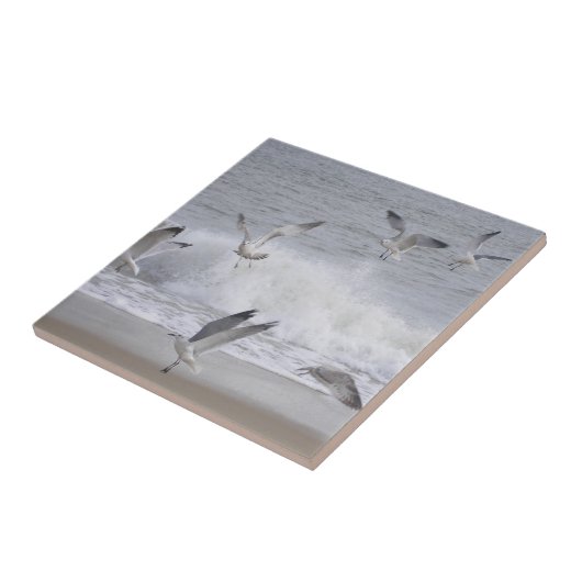 飛行 タイル (側面)