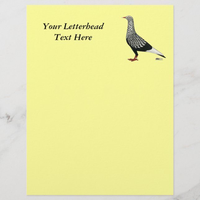 飛飛んでいる行便 (正面)