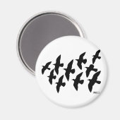 飛飛んでいる行鳩 マグネット (正面/裏面)