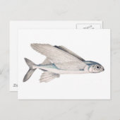 飛魚座のExocoetidae ポストカード (正面/裏面)