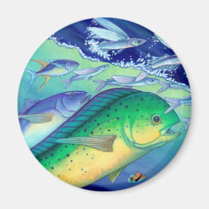 飛魚座を追跡するMahi Mahi (イルカの魚) マグネット
