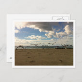 飛鳥のポストカード ポストカード (正面/裏面)