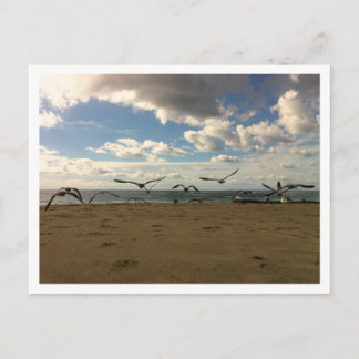 飛鳥のポストカード ポストカード