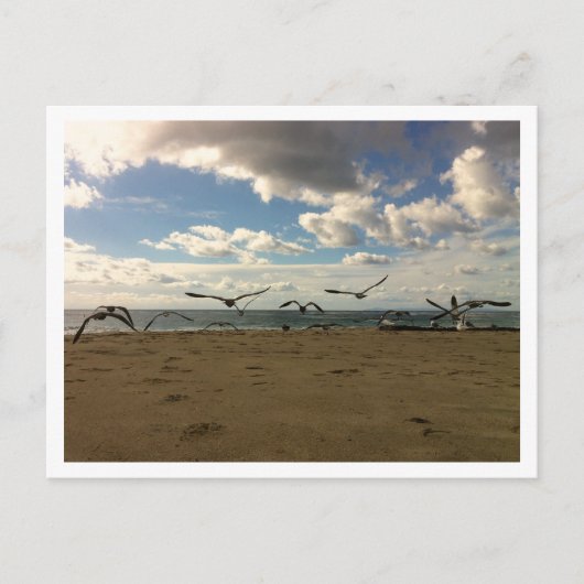 飛鳥のポストカード ポストカード (正面)