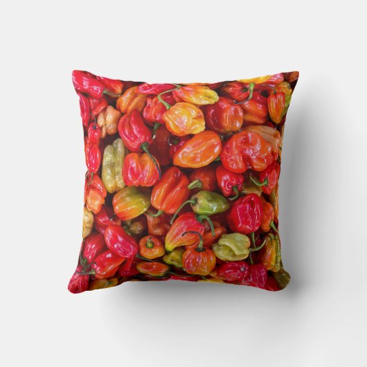 食かわいらし品 クッション (裏面)