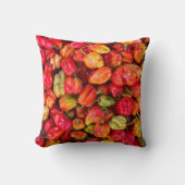 食かわいらし品 クッション (正面)