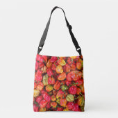 食かわいらし品 クロスボディバッグ (裏面)