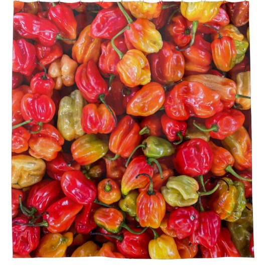 食かわいらし品 シャワーカーテン (正面)