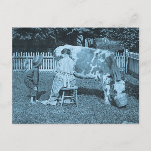 食べろ！ヴィンテージ立体視 ポストカード (正面)