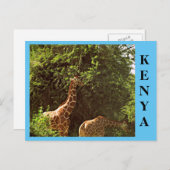 食べズ・ジラフェス ポストカード (正面/裏面)