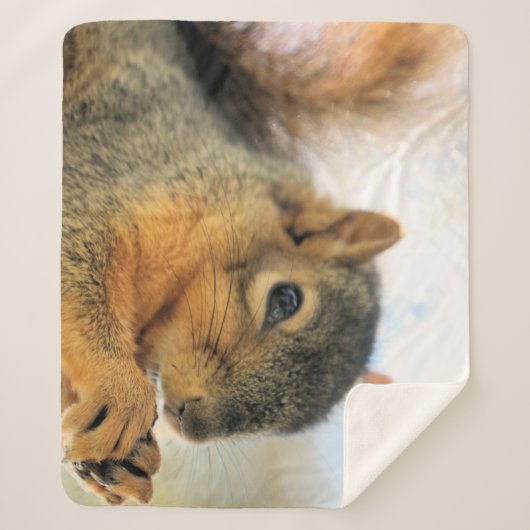 食べブランケット シェルパブランケット (正面)