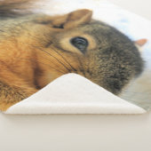 食べブランケット シェルパブランケット (3/4)