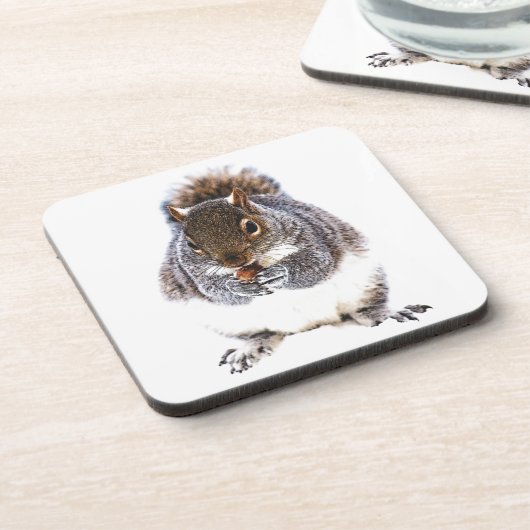 食べリス コースター (左側)