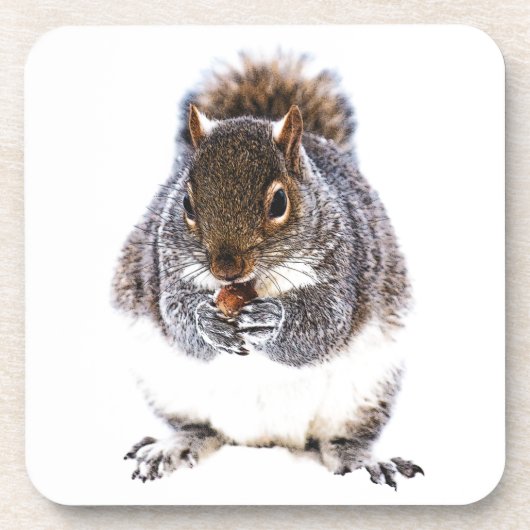 食べリス コースター (正面)