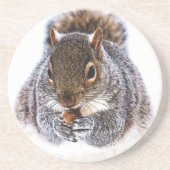 食べリス コースター (正面)