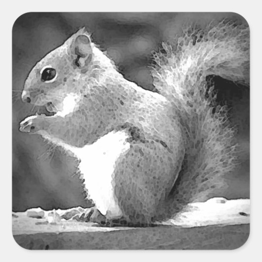 食べリス スクエアシール (正面)