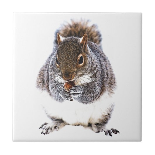 食べリス タイル (正面)