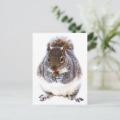 食べリス ポストカード (スタンド正面)