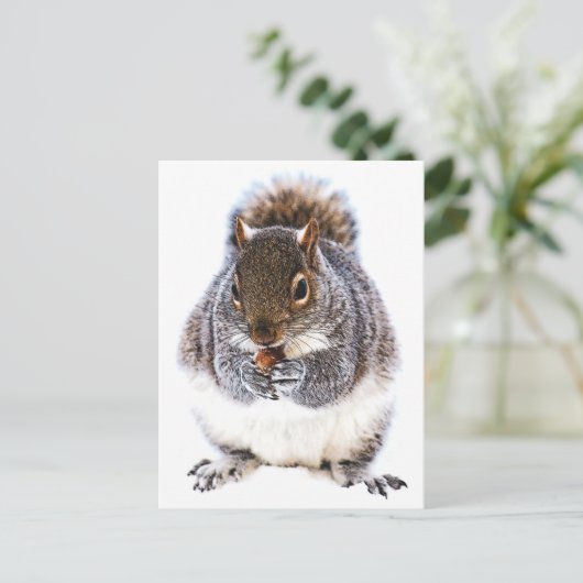 食べリス ポストカード (スタンド正面)