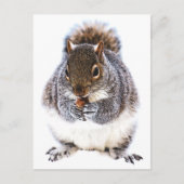 食べリス ポストカード (正面)