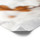 *~*食べ子猫積雪5:4キッテン猫AP68 ポスター (角)