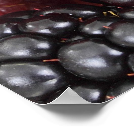 食べ実在食/果実の写真 ポスター (角)