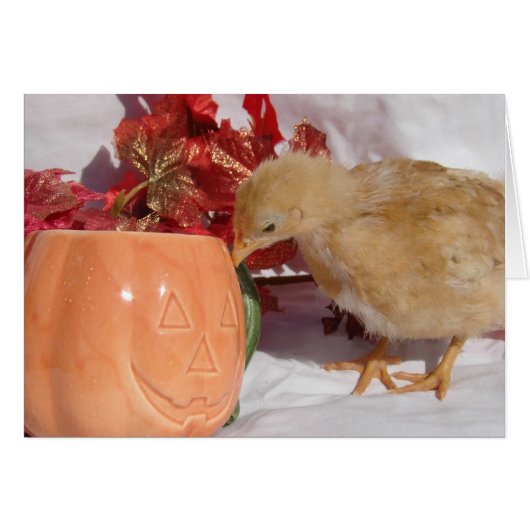 食べ物か？ (正面横)