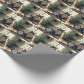 食べ物が空っぽの器で待っている太った猫 ラッピングペーパー (角)