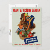 食べ物が荒れている ポストカード (正面/裏面)