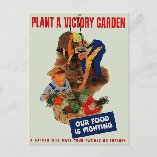 食べ物が荒れている ポストカード (正面)