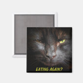 食べ物また？ダイエットキャットミーム冷凍機 マグネット (正面/裏面)