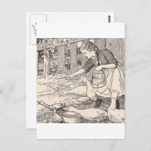 食べ物を与えのアヒル ポストカード (正面/裏面)