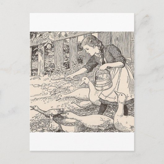 食べ物を与えのアヒル ポストカード (正面)