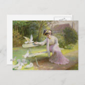 食べ物を与えのハト ポストカード (正面/裏面)