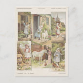 食べ物を与えの家畜 ポストカード (正面)