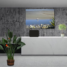 食べ物を与えの時王室の間