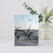 食べ物を与えの熱狂的はがき ポストカード (スタンド正面)