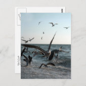 食べ物を与えの熱狂的はがき ポストカード (正面/裏面)