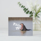 食べ物を与えよ!ヒッポおもしろい ポストカード (スタンド正面)