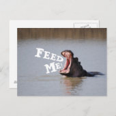 食べ物を与えよ!ヒッポおもしろい ポストカード (正面/裏面)