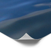 食べ物を与えイルカ ポスター (角)