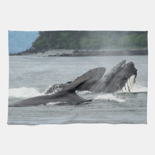 食べ物を与えザトウクジラ キッチンタオル (横)
